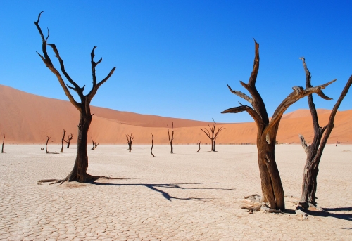Desert