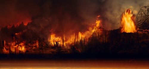 Incendie de forêt