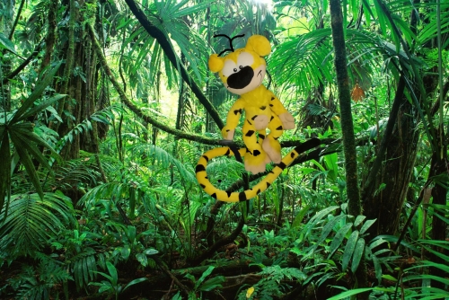 Marsupilami